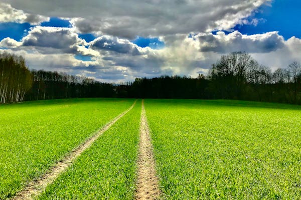 Trochy Vognju activities