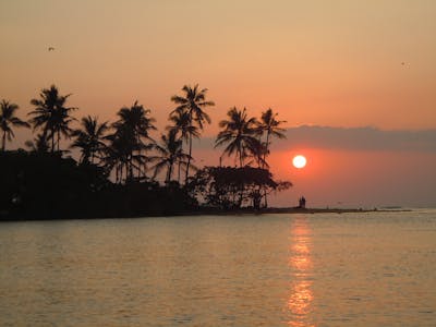 Advocacy & Awareness