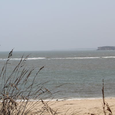 Dr. Rosita Van Coevorden